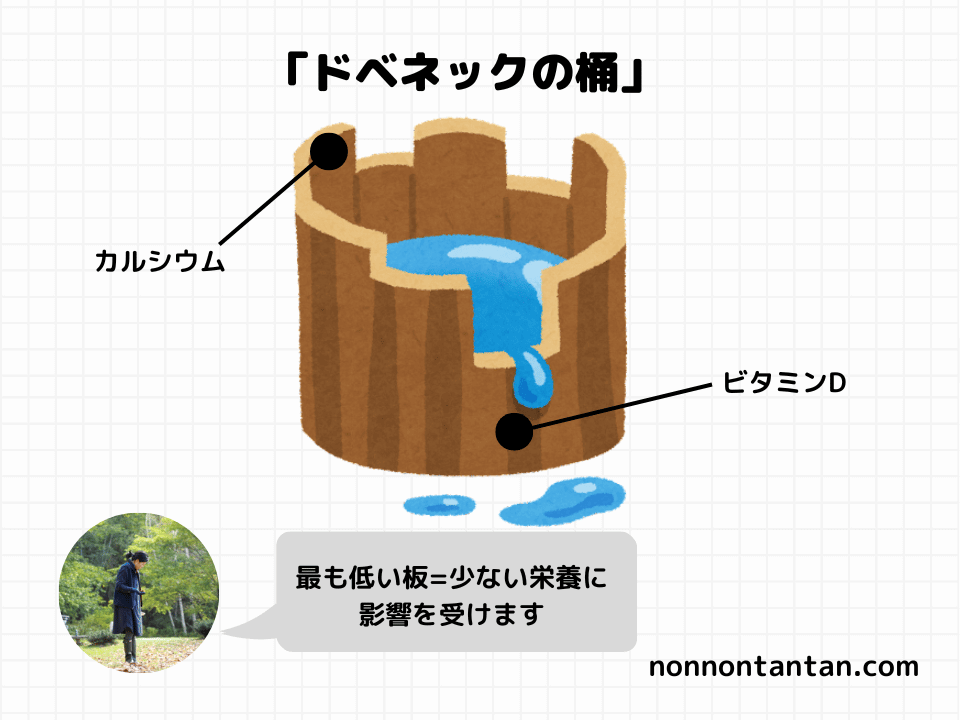 「ドベネックの桶」の図
