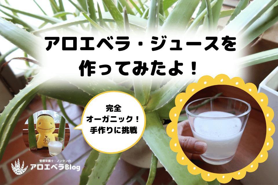 アロエベラジュースの作り方【完全オーガニック・手作りレシピ！】