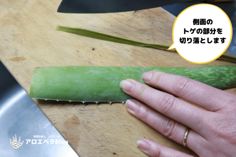 アロエベラジュースの作り方【完全オーガニック・手作りレシピ！】 アロエベラ・ブログ