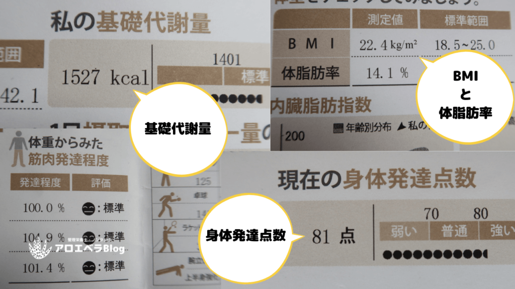 そのほかの嬉しい数値（基礎代謝量や身体発達点数など）