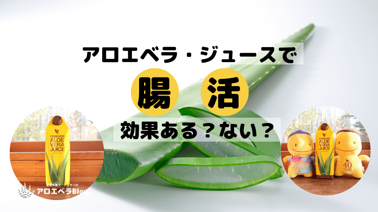 アロエベラジュースで腸活【効果ある？ない？】