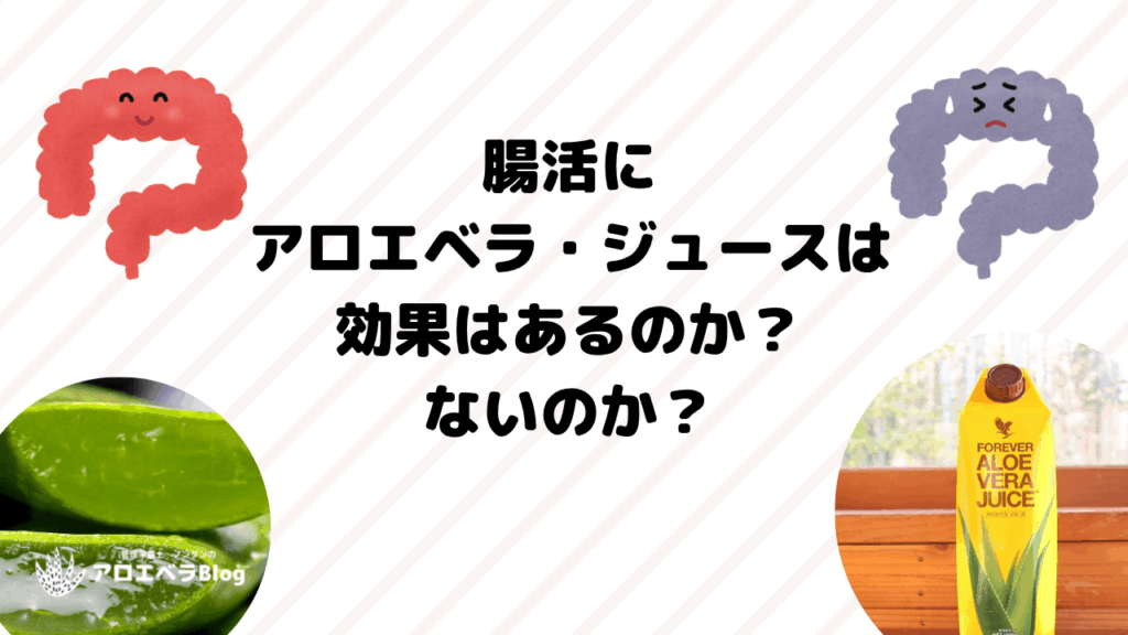 アロエベラ・ジュースで腸活、効果はあるのか?ないのか?