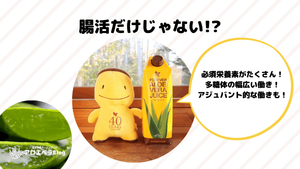 腸活のほかにも期待できる、アロエベラ・ジュースの効果