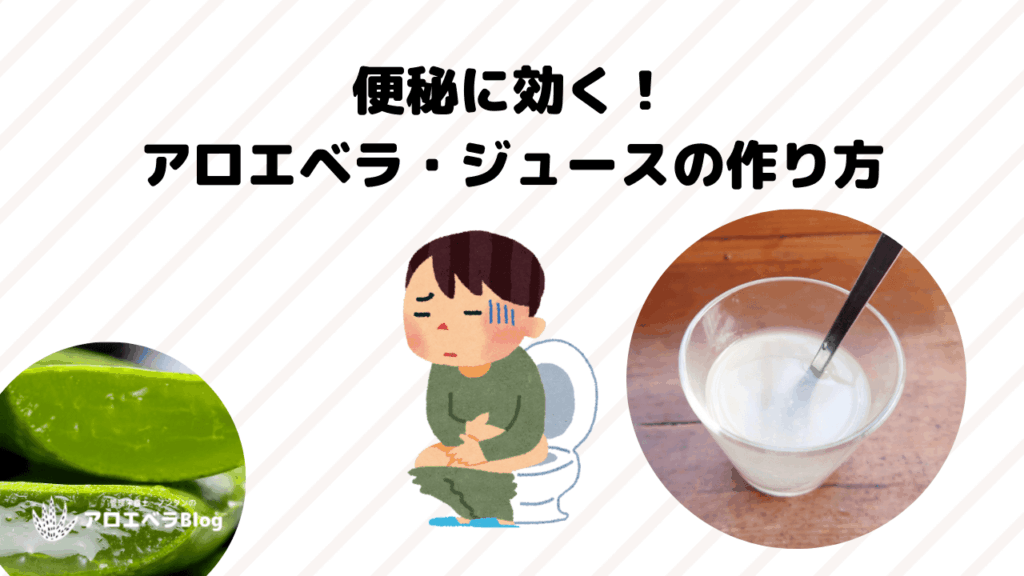 便秘に効くアロエベラ・ジュースの作り方